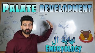 embryology 4  palate development  oral histology  عزت شومان [upl. by Ardnekal]