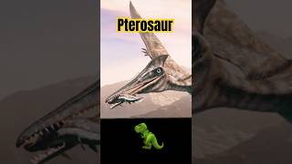 🦖 What is a Pterosaur What was a Pterosaur What is a Pterodactyl dinosaur pterosaurus history [upl. by Iralav]