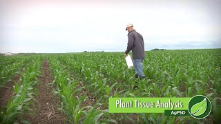 Plant Tissue Analysis 1006 Air Date 71617 [upl. by Lorelei279]