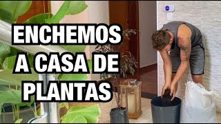 OLHA como a CASA fica mais ACONCHEGANTE com PLANTAS  Henrique Buttler [upl. by Sonnnie]