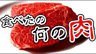 俺たちが食べた美味しい肉がどうやら珍しい動物の肉らしい… [upl. by Odrude]