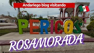 visitando pericos en rosamorada nayarit [upl. by Ardnaed299]