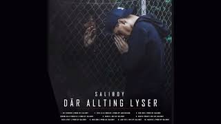 Saliboy  Album DÄR ALLTING LYSER [upl. by Einnahpets]