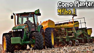 ENTENDA COMO PLANTAR MILHO 🌽🤠💪🏼 EP 328 [upl. by Wilden]