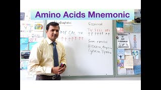 Amino Acids Mneumonic [upl. by Nairot550]