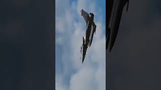 Rafale Spirit  DCS World [upl. by Lebisor]