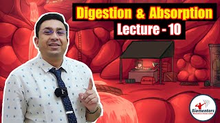 Digestion amp Absorption l Lecture 10 l Biology l NEET [upl. by Schach787]