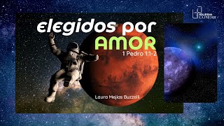 ELEGIDOS POR AMOR  Laura Mejías Buzzelli [upl. by Anilecram994]