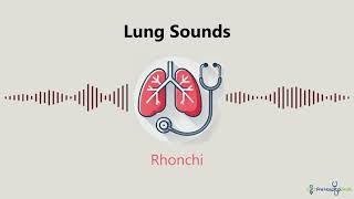 Lung Sounds Rhonchi [upl. by Ponton684]