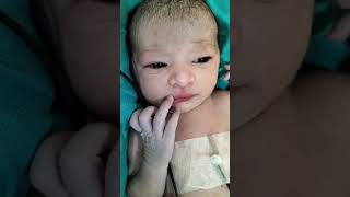 Eyes expression very much better cutebaby viralbaby nicubaby tranding childbirth viralvideo [upl. by Llekcir170]