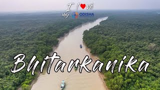 Inside Indias Second Largest Mangrove Wetland Bhitarkanika I Love My Odisha Ep 6Curly Tales [upl. by Ashwell]