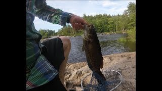 Smallmouth bass fishing and kayak camping on the Menominee river [upl. by Nitsud698]