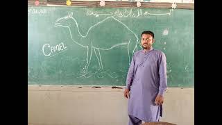 Drawing Activity Sir Sohail GBHS ISLAMIA OLD SUKKUR [upl. by Adrianne]