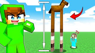 I Made My Crazy Custom Mob Idea to Prank My Friend in Minecraft PE🔥🔥🔥 [upl. by Abbey]