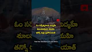 POWERFULL MANTRA OF LOARD SHIVE loardshiva powerfullhealing rudra mantra [upl. by Devon]