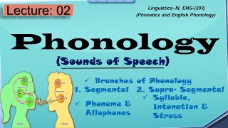 Phonology  What is phonology and its branches [upl. by Lomaj]