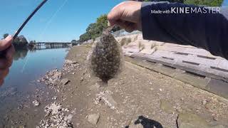 Fishing The Cooks River [upl. by Nevsa325]