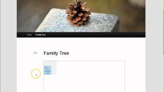 Wordpress Family Tree Tutorial [upl. by Pendergast]