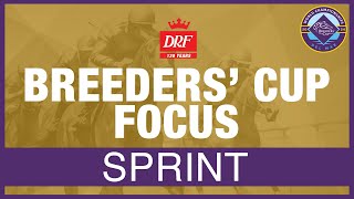 Breeders Cup Focus  Sprint 2024 [upl. by Lletnahc]