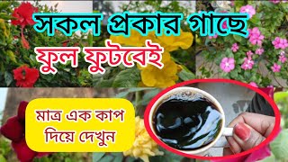 বাড়িতেই তৈরি করুন গন্ধহীন জৈব তরল সার  জবা গাছের পরিচর্যা  গোলাপ গাছের পরিচর্যা  kitchen waste [upl. by Anhoj]