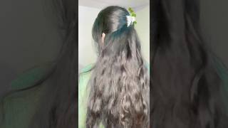 Claw clip hairstyles hairstyle hair tutorial hairtutorial shortvideo [upl. by Zeralda]