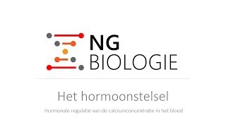 Het hormoonstelsel  hormonale regulatie van het calciumgehalte in het bloed  VWO [upl. by Lonee541]