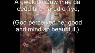 Celtic Love Song from Wales Olwen [upl. by Pare]