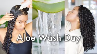 Aloe Vera Curly Hair Wash Routine to Grow Moisturize amp Define Your Curls [upl. by Colley296]