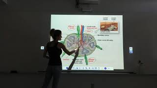 The Lymphatic System and Immunity Part 22 [upl. by Maguire]