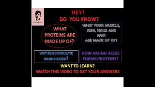 BEST VIDEO IN AMINO ACIDS AND PROTEINS [upl. by Asel]