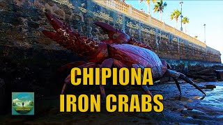 Hyperlapse Chipiona Crab Iron Sculptures Walking Tour Cádiz Andalucía Spain 4K [upl. by Aay]