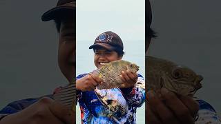 BARONANG MANIA mancing shortmancing ikanbaronang mancingliarindonesia [upl. by Grogan]