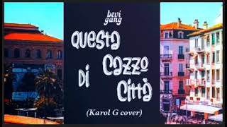 Bevi Gang  Questa Cazzo Di Città Karol G cover [upl. by Oaks969]