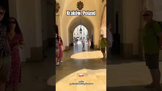 KrakówPoland 🇵🇱 Historic City Of World💯travel explore polska poland trending ytshorts [upl. by Niliram770]