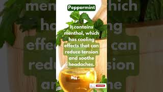 Why is peppermint oil often used for headaches [upl. by Faith]