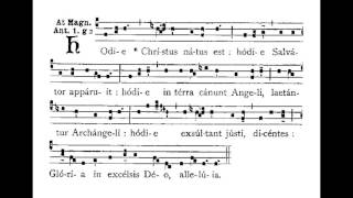 Hodie Christus Natus Est Hymn [upl. by Chelsie]