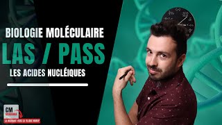 Les acides nucléiques  🧬 Adénine Cytosine Guanine Thymine Ce quil faut retenir maintenant [upl. by Panta]