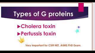 TYPES OF G PROTEIN CHOLERA AND PERTUSSIS TOXIN ROLE [upl. by Anner]