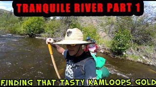 Tranquille River GOLD  Kamloops Part 1  Gold History and MORE GOLD [upl. by Lessirg866]