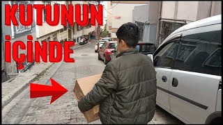 Yeni Tavşanlar Aldım  Duman Ve Pamuk Gitti [upl. by Josy]