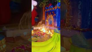 🪷Tulsi Vivah🪷tulsivivah krishna saligrama pooja Antimasinghg6s [upl. by Ainekahs]