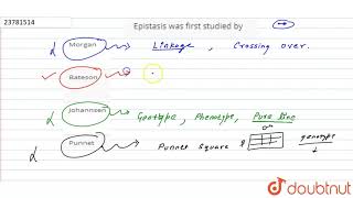 Epistasis was first studied by [upl. by Elyad489]