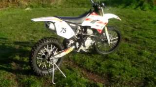 moto shineray purecross250cc Chez MTsports [upl. by Giess]