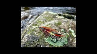 100 Years Ago on river Deveron – Heaviest UK FlyCaught Salmon 🎥D Miller [upl. by Bodnar]