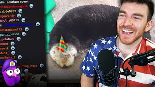 Rosa the Otters 24th Birthday Party VOD [upl. by Sillihp666]