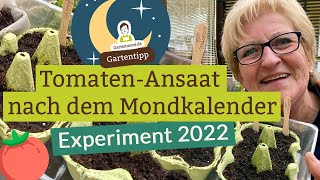 Erste Tomatenansaat 2022 nach dem Mondkalender [upl. by Otcefrep]