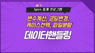 Spss 데이터 핸들링Data Handling [upl. by Squires]