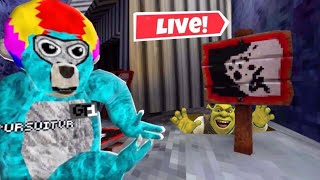 Gorilla Tag LIVE Stream CODES amp MINIGAMES [upl. by Anwad]