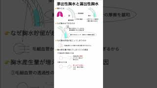 滲出性胸水と漏出性胸水の違い 看護 看護師 看護学生 勉強 勉強方法 [upl. by Babara]