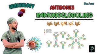 What is Immunoglobulin Functions and Types Explained  Antibodies igG igA  igM igE amp IgD [upl. by Ahtnams379]